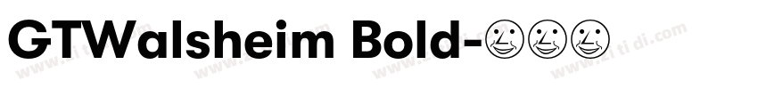 GTWalsheim Bold字体转换 GTWalsheim Bold字体转换